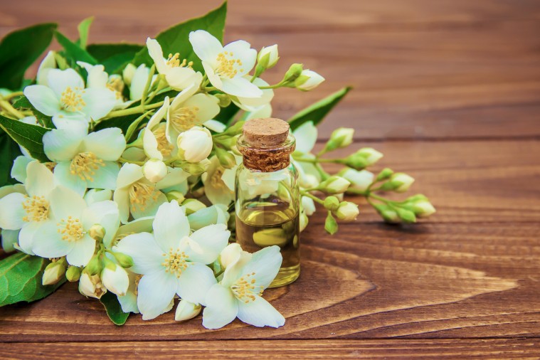 Beneficios del aceite esencial de jazmín