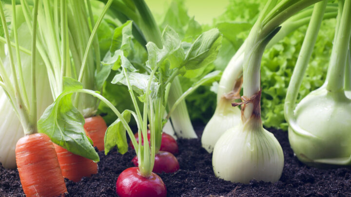Beneficios de los vegetales blancos para la mujer
