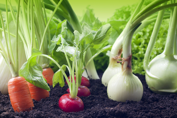 Beneficios de los vegetales blancos para la mujer