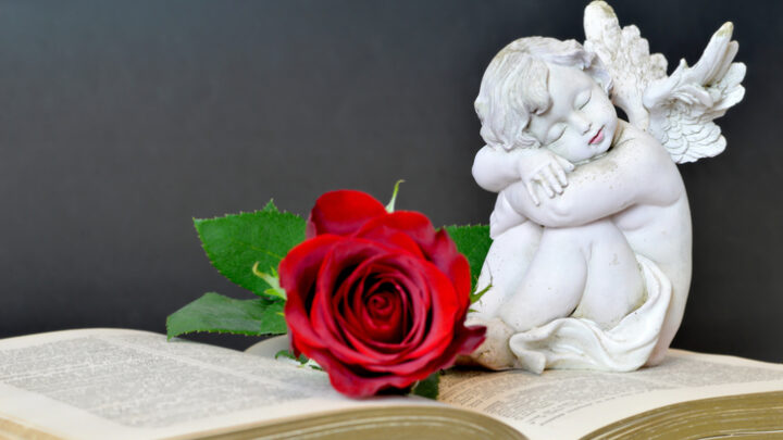 Estas son las novelas románticas que no te puedes perder