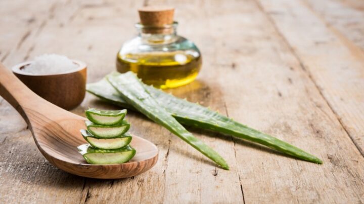 Beneficios del aloe vera para la mujer