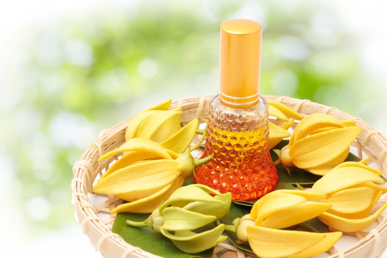 Propiedades y beneficios del aceite ylang ylang