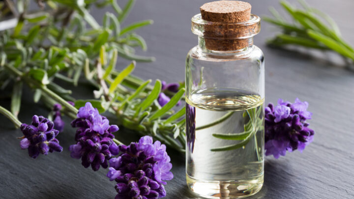 Beneficios del aceite esencial de lavanda